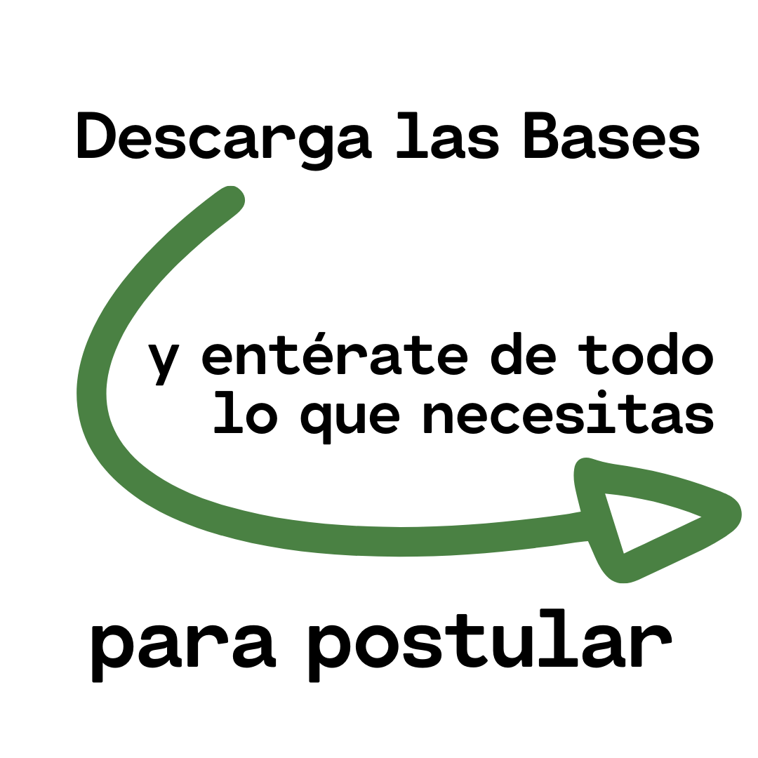 Descarga las Bases